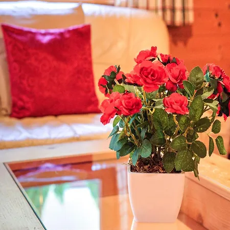 Wildschoenau -cozy Escape, Cleaning Included Holiday home